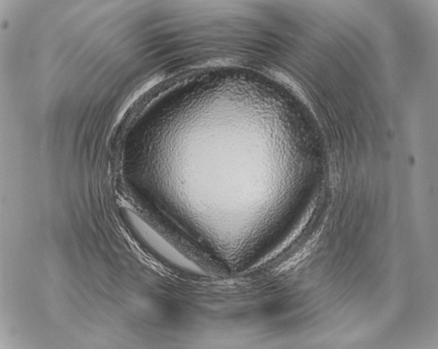 X0000070190827200606161548