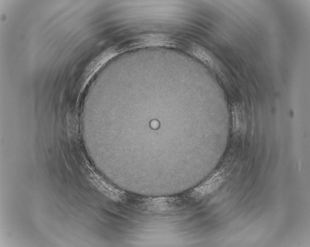 X0000070190828200606161548