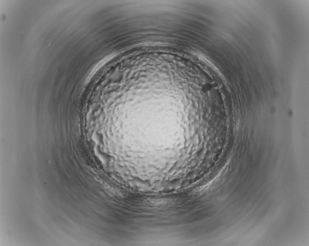 X0000070190829200606161549