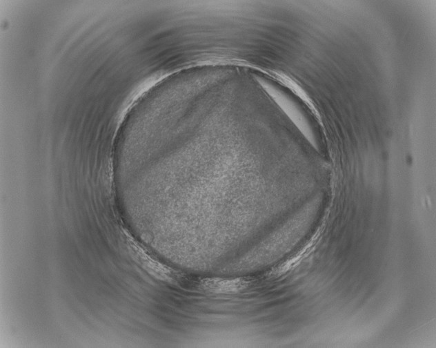 X0000070190831200606161549