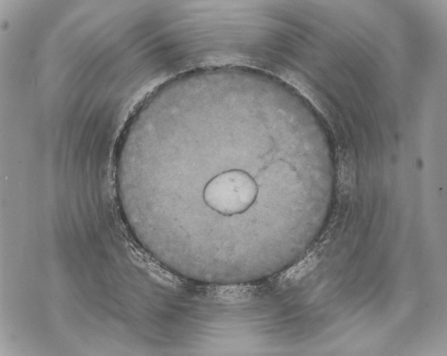 X0000070190832200606161549