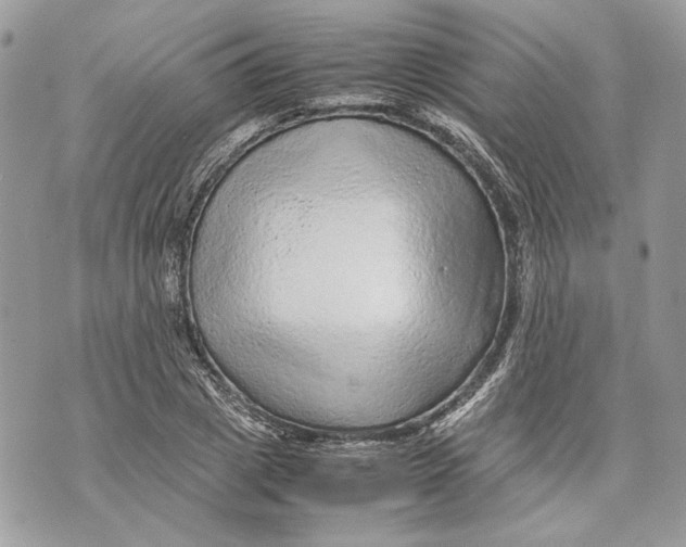 X0000070190833200606161549