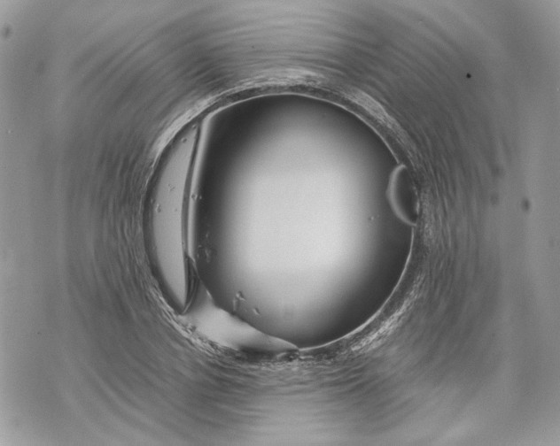 X0000070190834200606161549