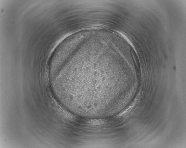 X0000070190835200606161549