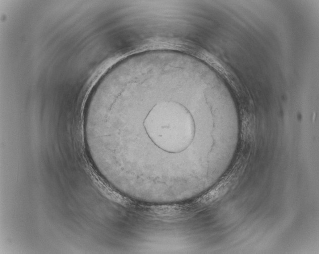 X0000070190836200606161549