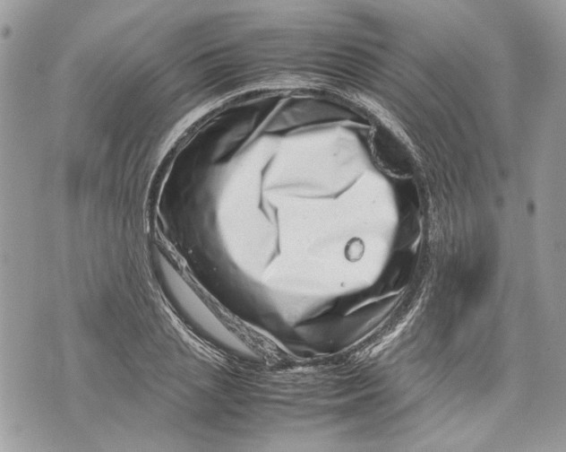 X0000070190837200606161549