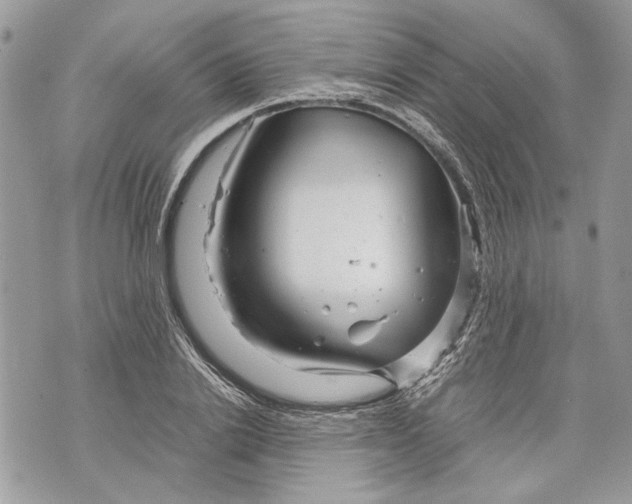 X0000070190838200606161549