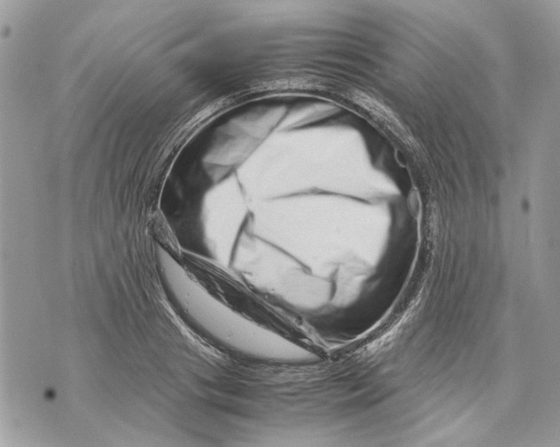 X0000070190841200606161549