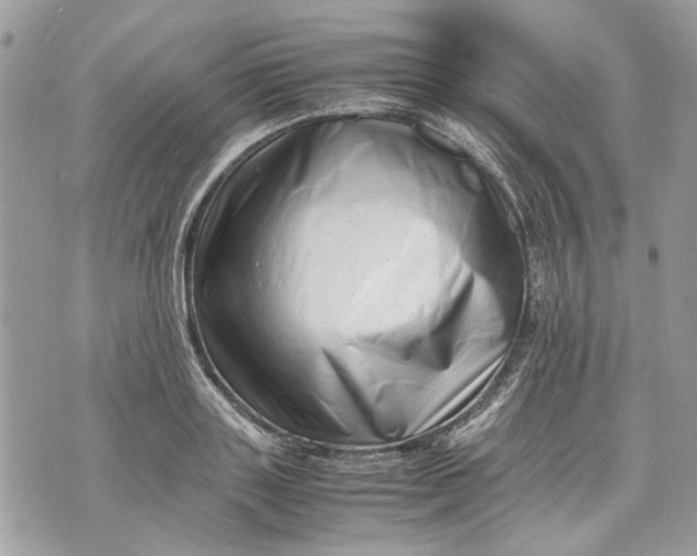 X0000070190843200606161549