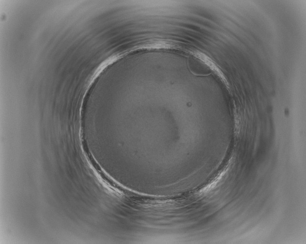 X0000070190845200606161549