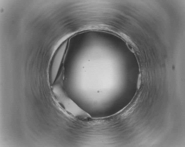 X0000070190846200606161549