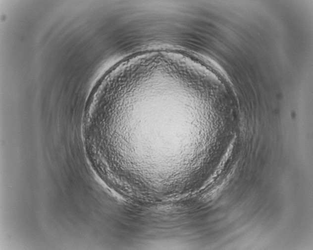 X0000070190847200606161549