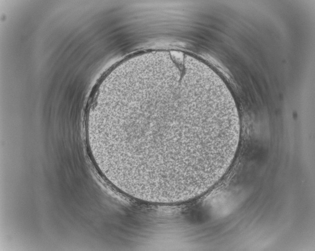 X0000070190848200606161549