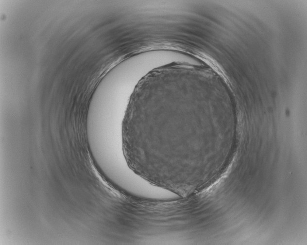 X0000070190849200606161549