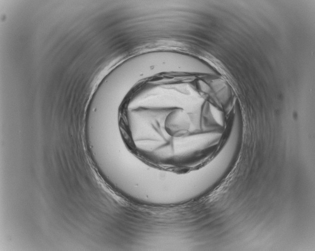 X0000070190850200606161549