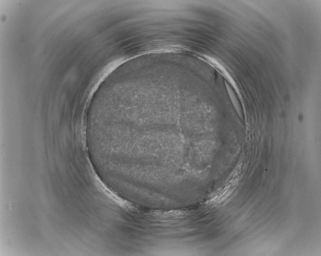 X0000070190851200606161549