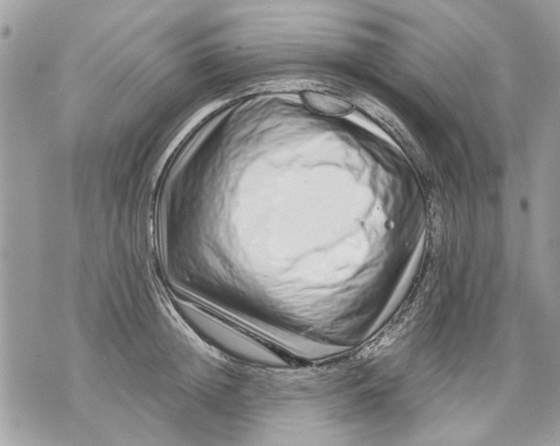 X0000070190852200606161549