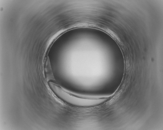 X0000070190854200606161549