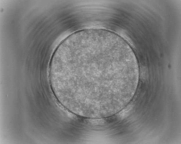 X0000070190856200606161549