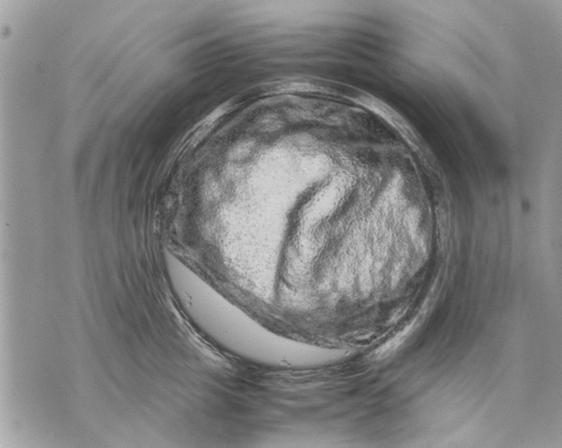 X0000070190857200606161549