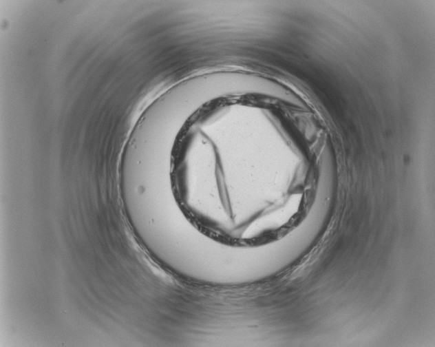 X0000070190858200606161549