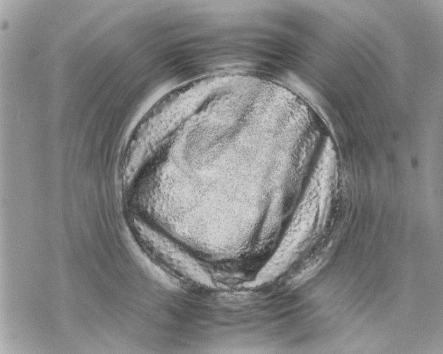 X0000070190859200606161549