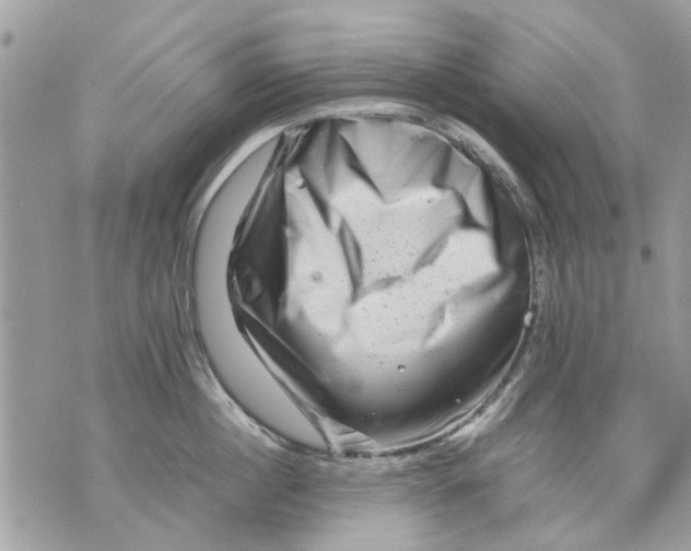 X0000070190860200606161549