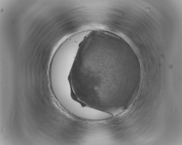 X0000070190864200606161549