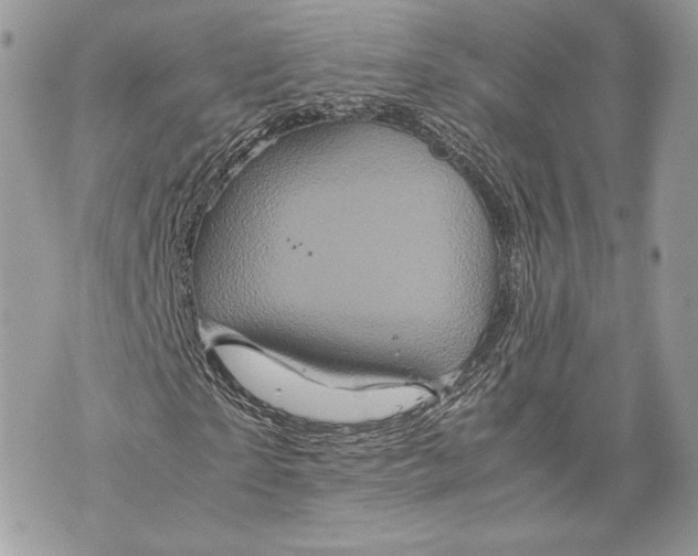 X0000070190865200606161548