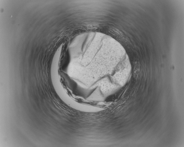 X0000070190866200606161548