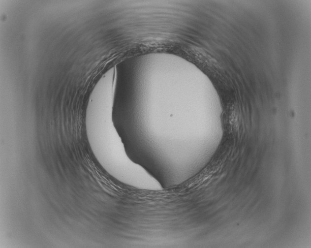 X0000070190868200606161548