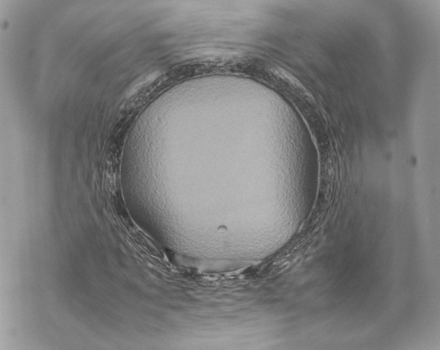 X0000070190869200606161548