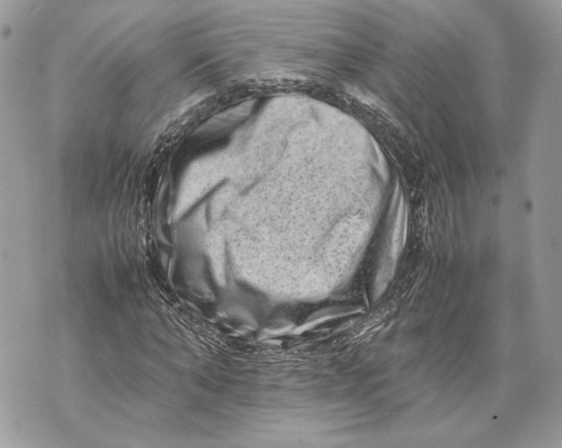 X0000070190870200606161548