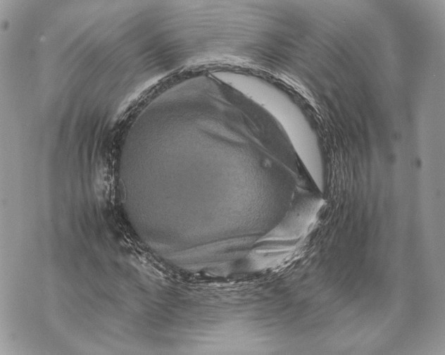 X0000070190872200606161548