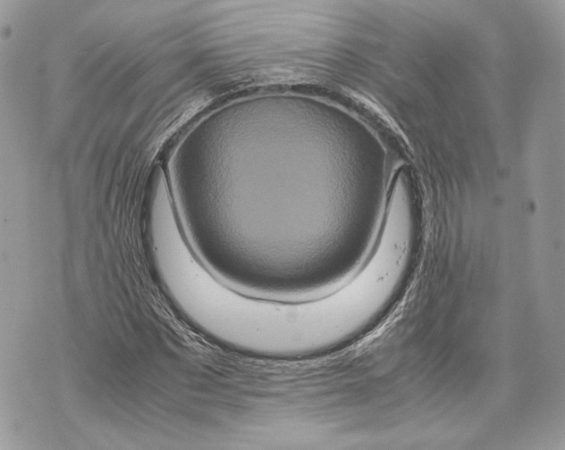 X0000070190873200606161548