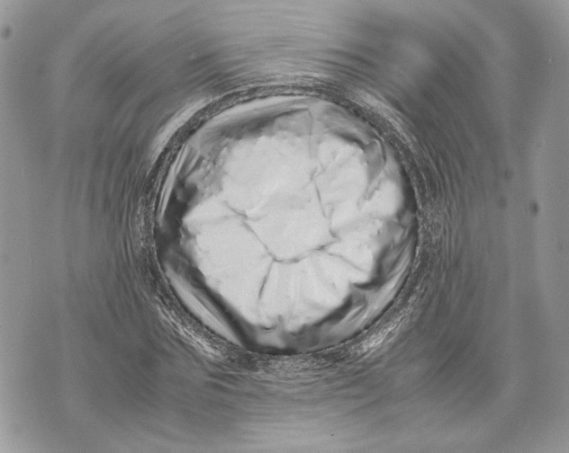 X0000070190875200606161548