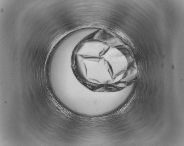 X0000070190876200606161548