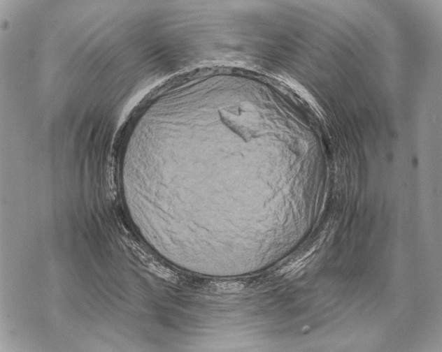 X0000070190878200606161548