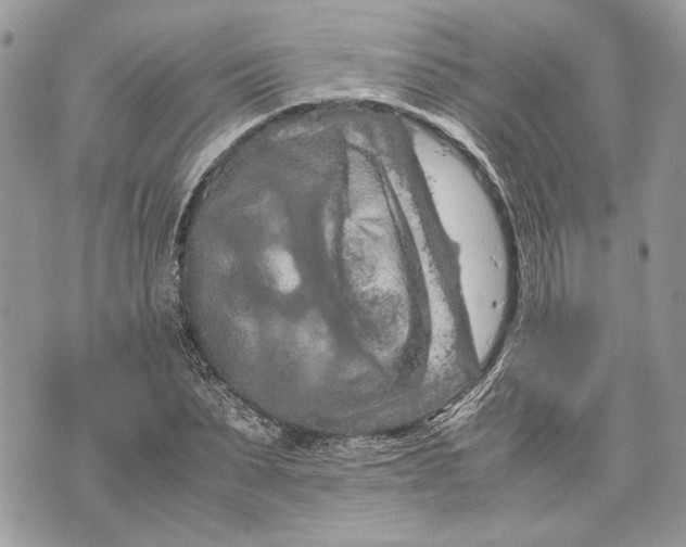 X0000070190879200606161548