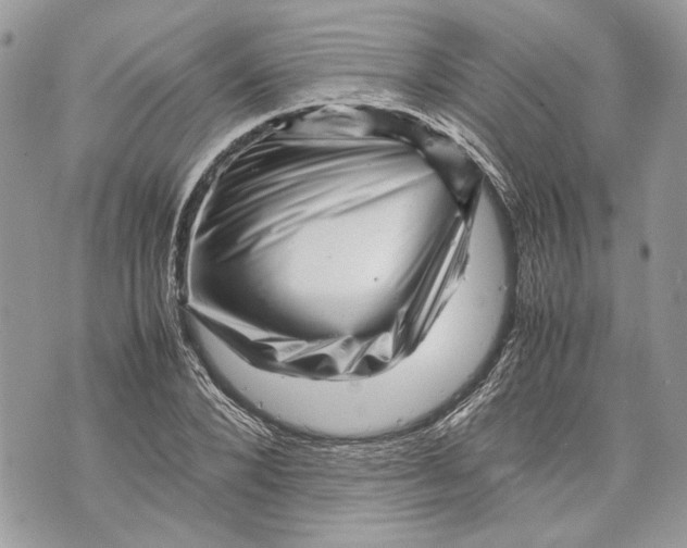 X0000070190880200606161548