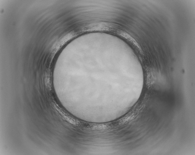 X0000070190882200606161548