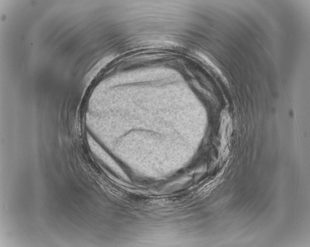 X0000070190883200606161548