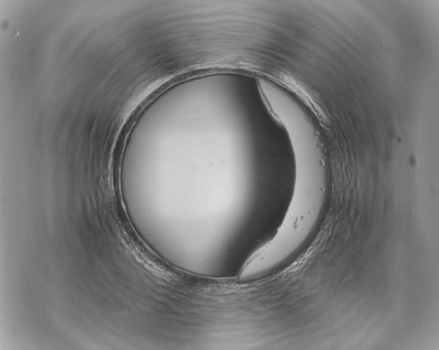 X0000070190884200606161548