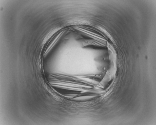 X0000070190885200606161548