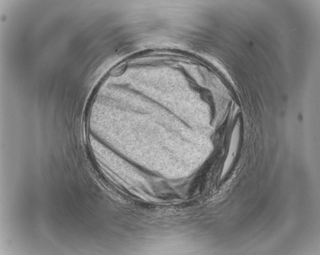 X0000070190887200606161548