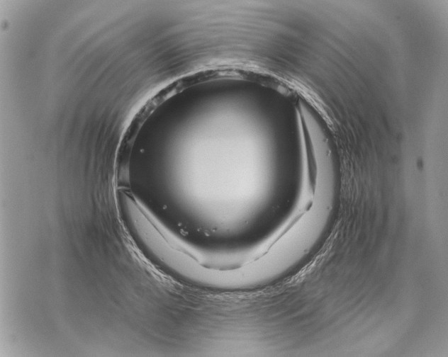 X0000070190888200606161548