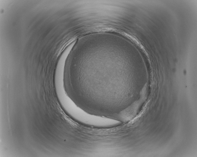 X0000070190889200606161548