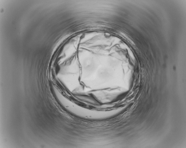 X0000070190891200606161548