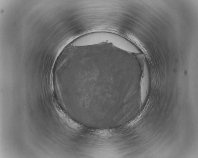 X0000070190892200606161548