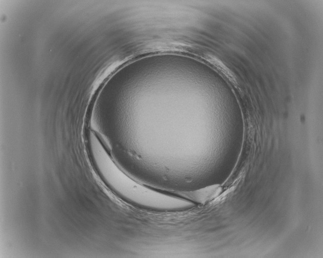 X0000070190893200606161548